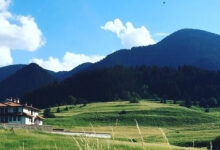 Photo of Консультации по улучшению отношений с соседями