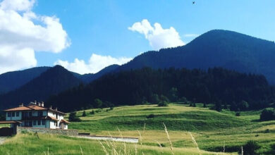 Photo of Консультации по улучшению отношений с соседями